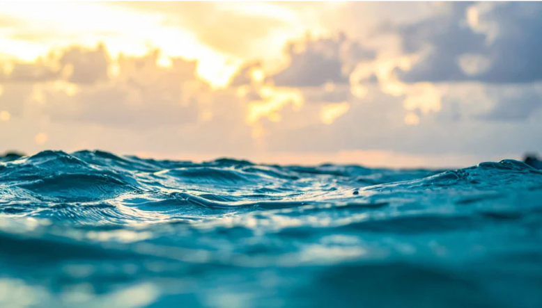 Sea Scatter