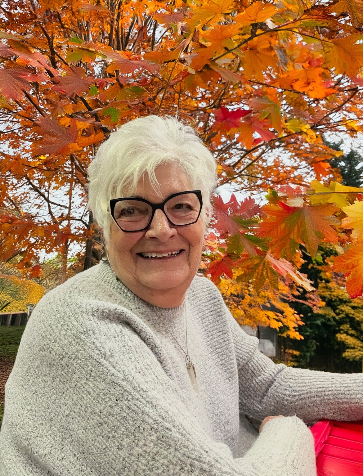 Donna Shirley McWilliams