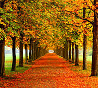 Marvin &quot;Bill&quot; Tuttle