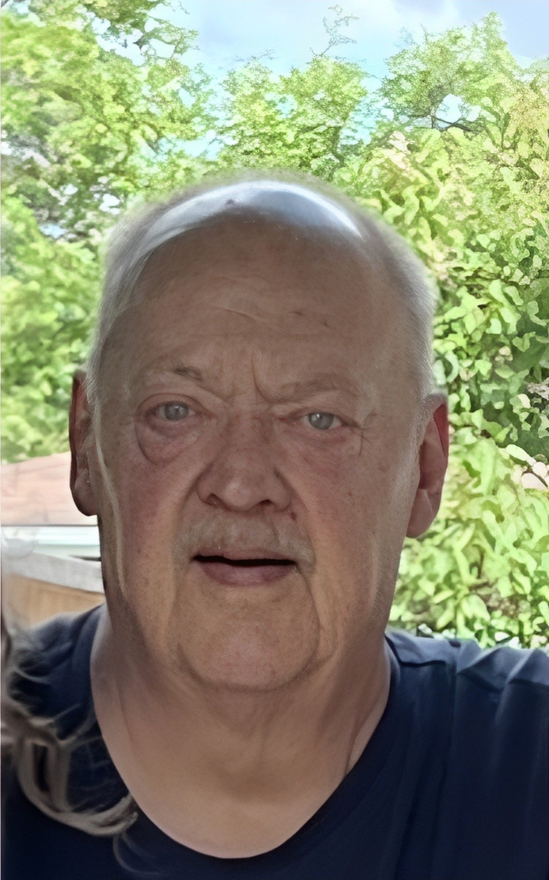 Murray Bryan Wiens