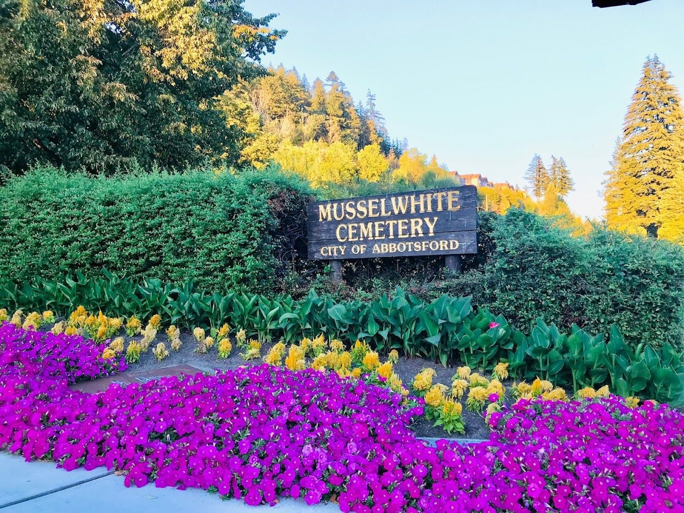 Mt. Lehman Cemetery