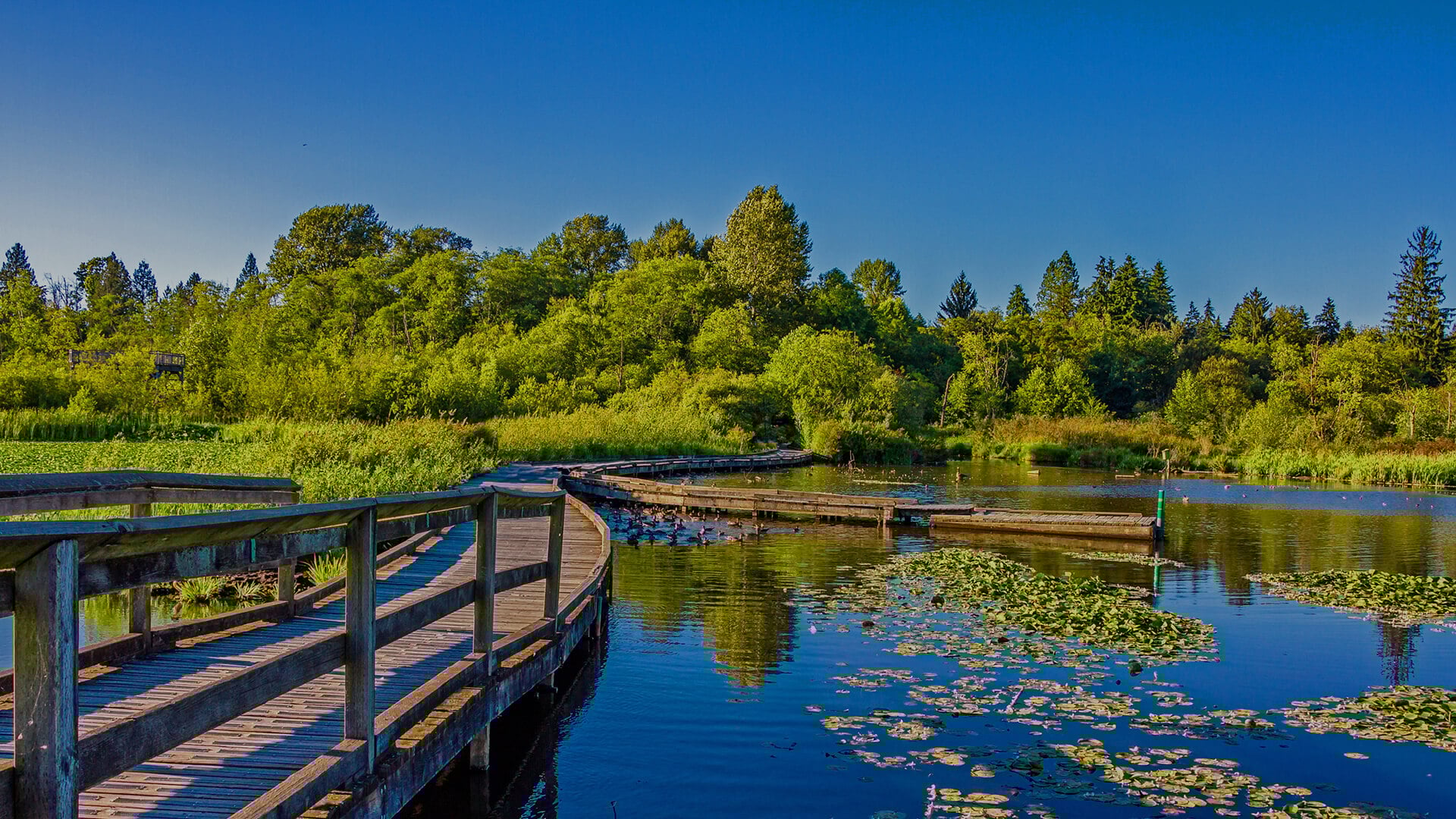 Alternatives in Burnaby