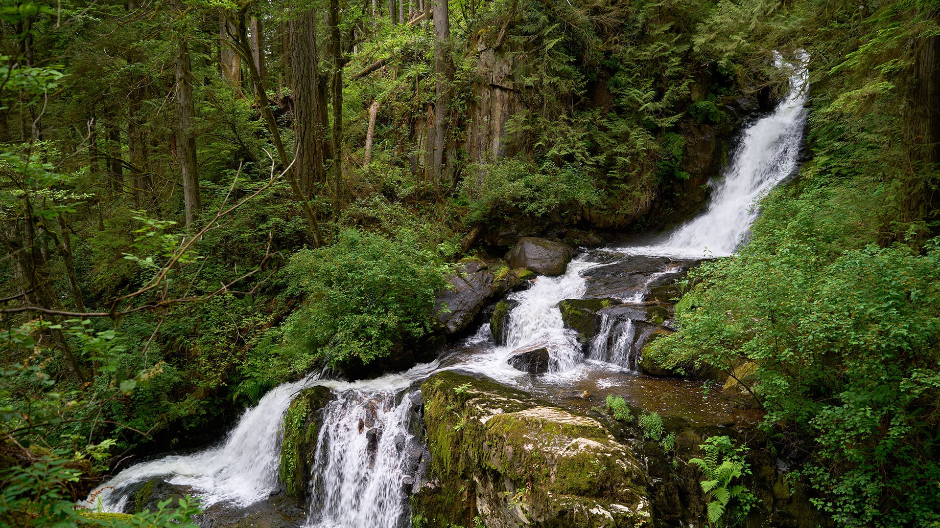 Alternatives in Mission