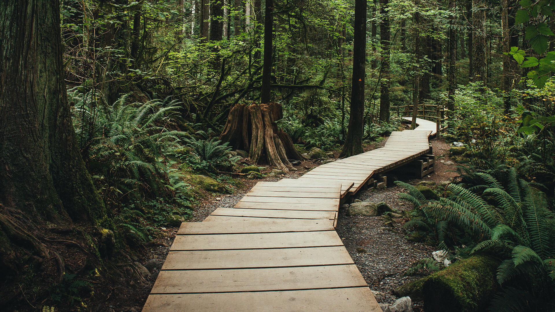 Alternatives in North Vancouver