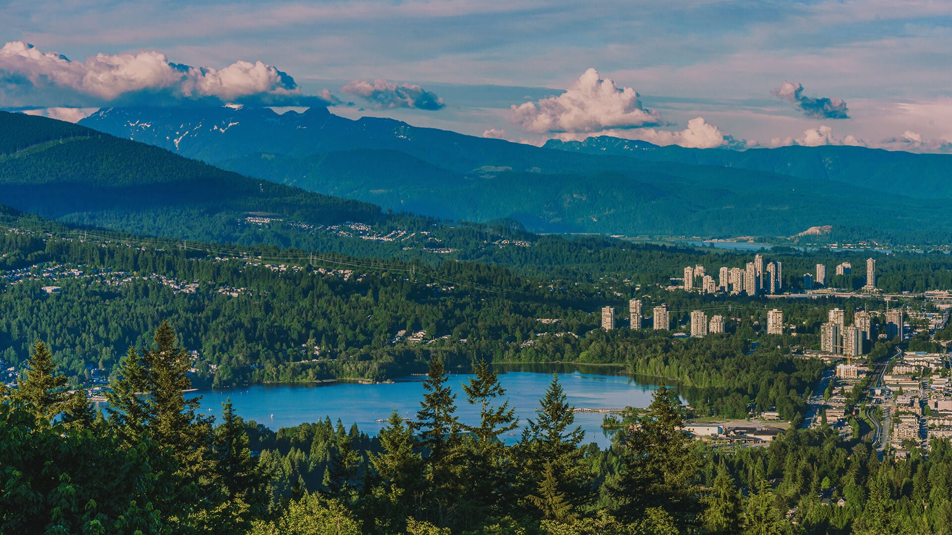 Alternatives in Port Moody