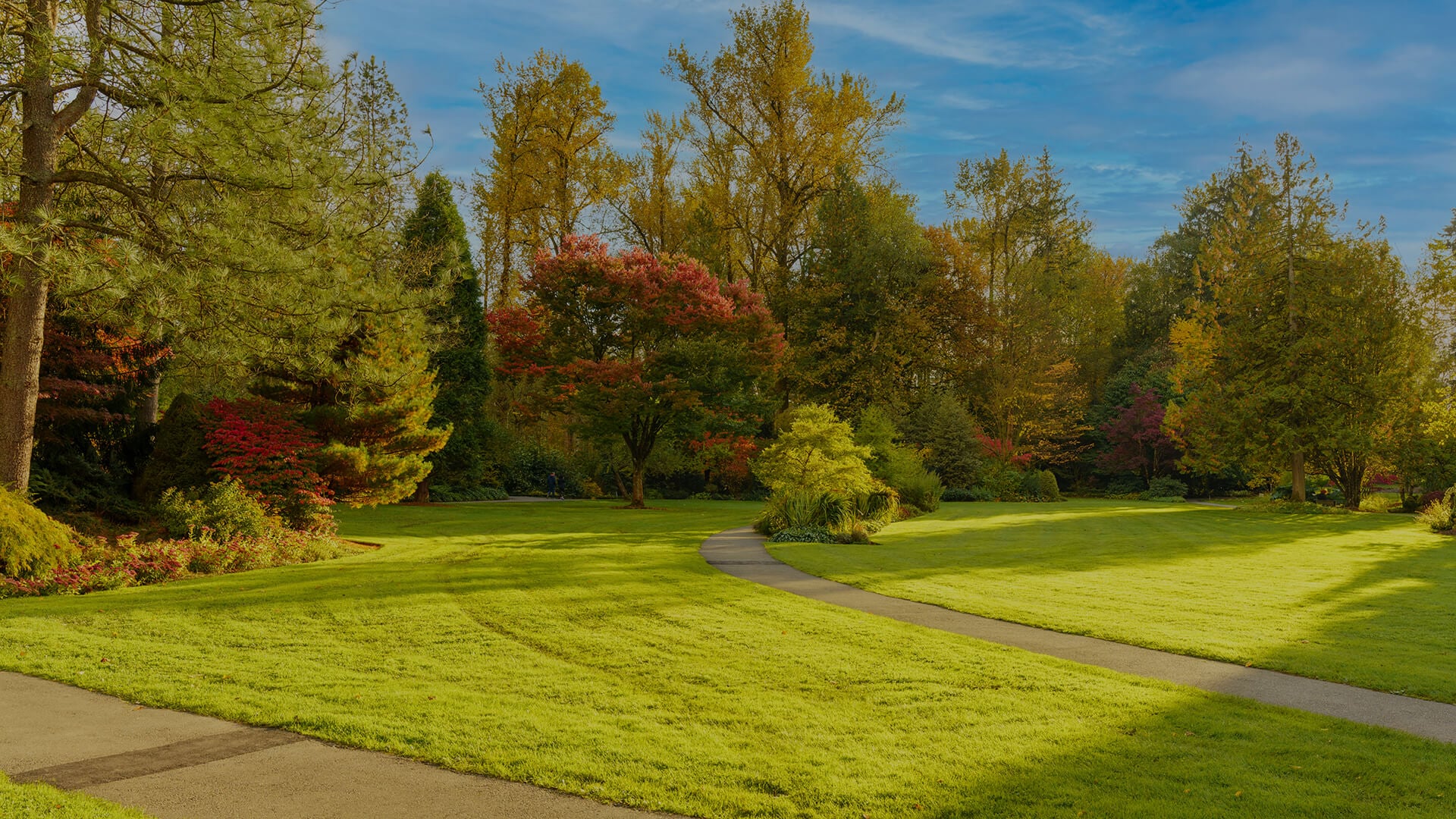 Alternatives in Surrey