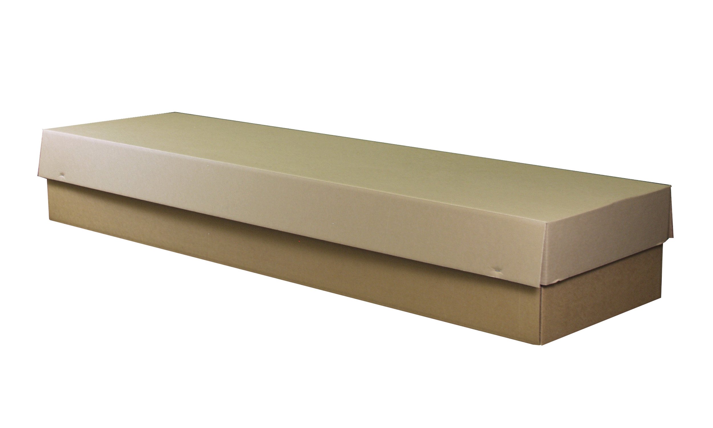 Cardboard Cremation Container